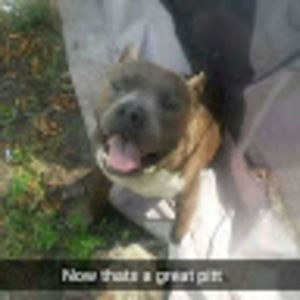 Meet your Posher, Ely